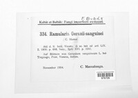 Ramularia geranii-sanguinei image